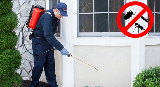 Pazarcık Tahtakurusu İlaçlama böcek ilaçlama ve haşere kontrolü — ilaclama-tr.com